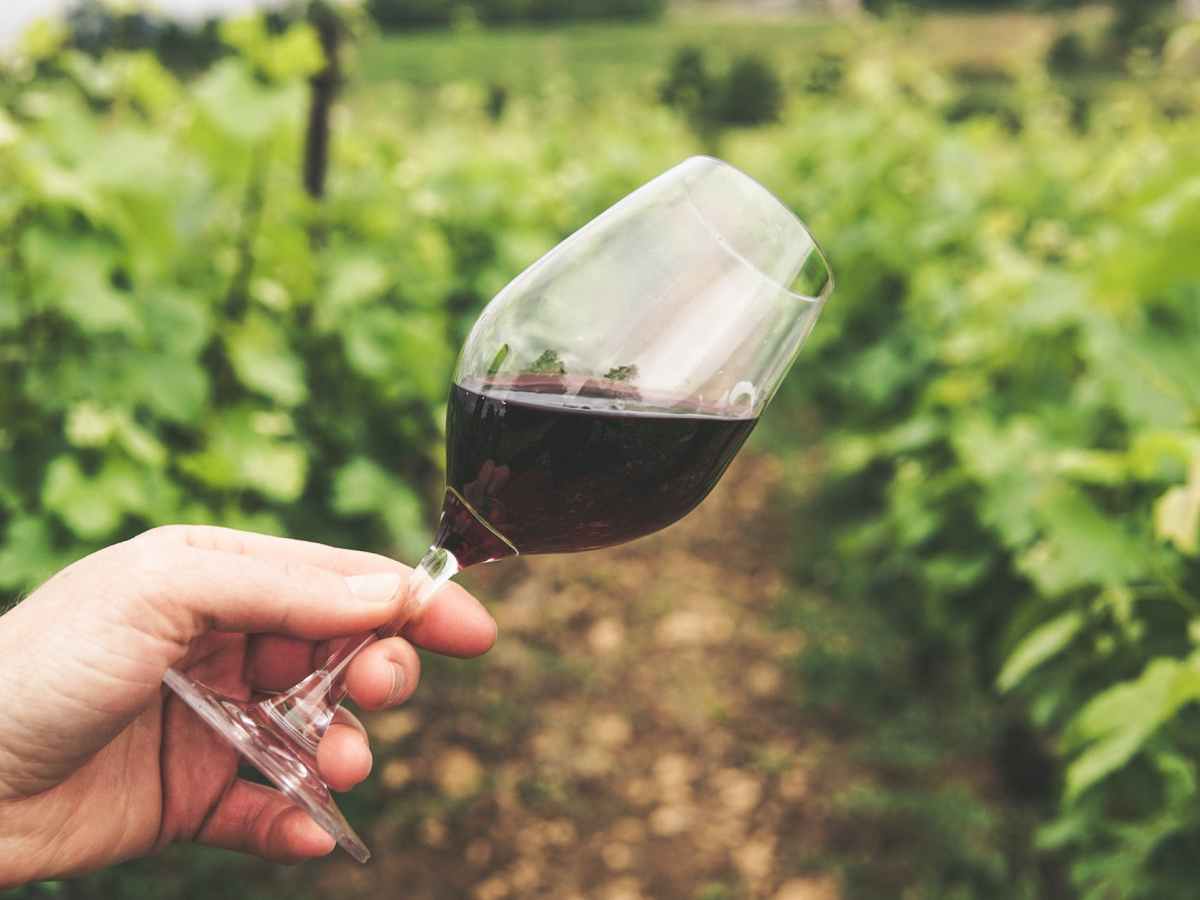 A2/B1 – How is wine made? (the present passive)